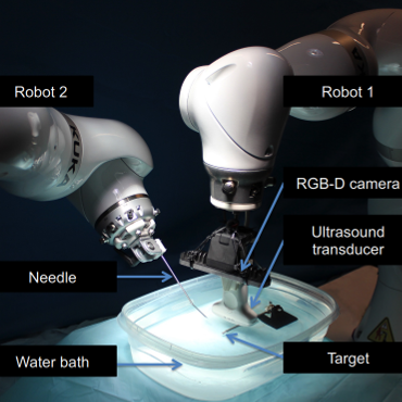 Dual-Robot Ultrasound-Guided Needle Placement: Closing the Planning-Imaging-Action 	Loop